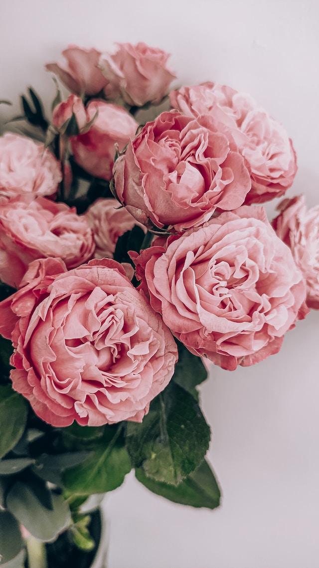 How to Pick the Perfect Rose Arrangement for Your Home